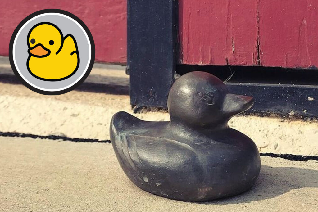 A Bronze Duck