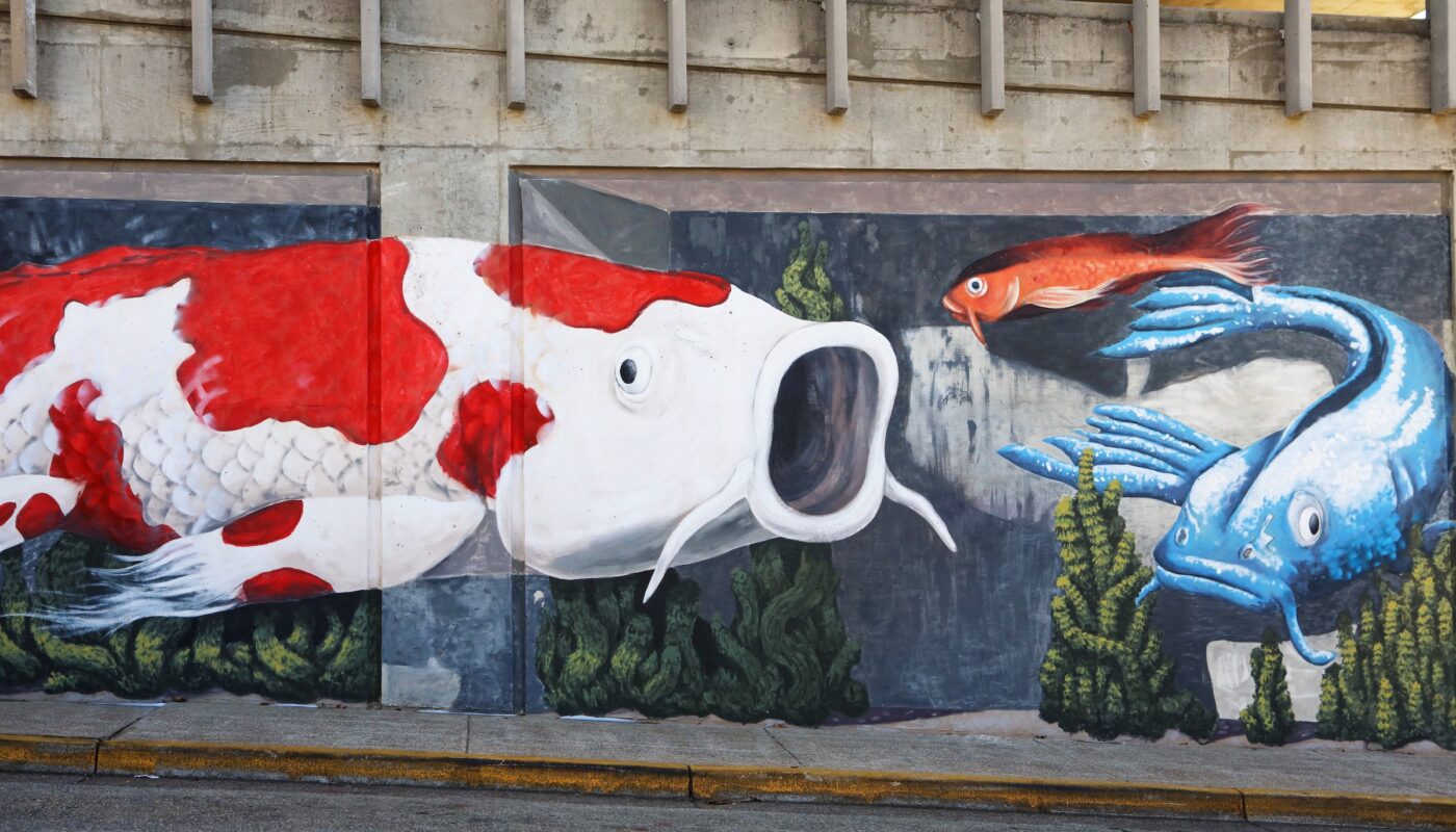 Koi Mural by Dustin Timbrook